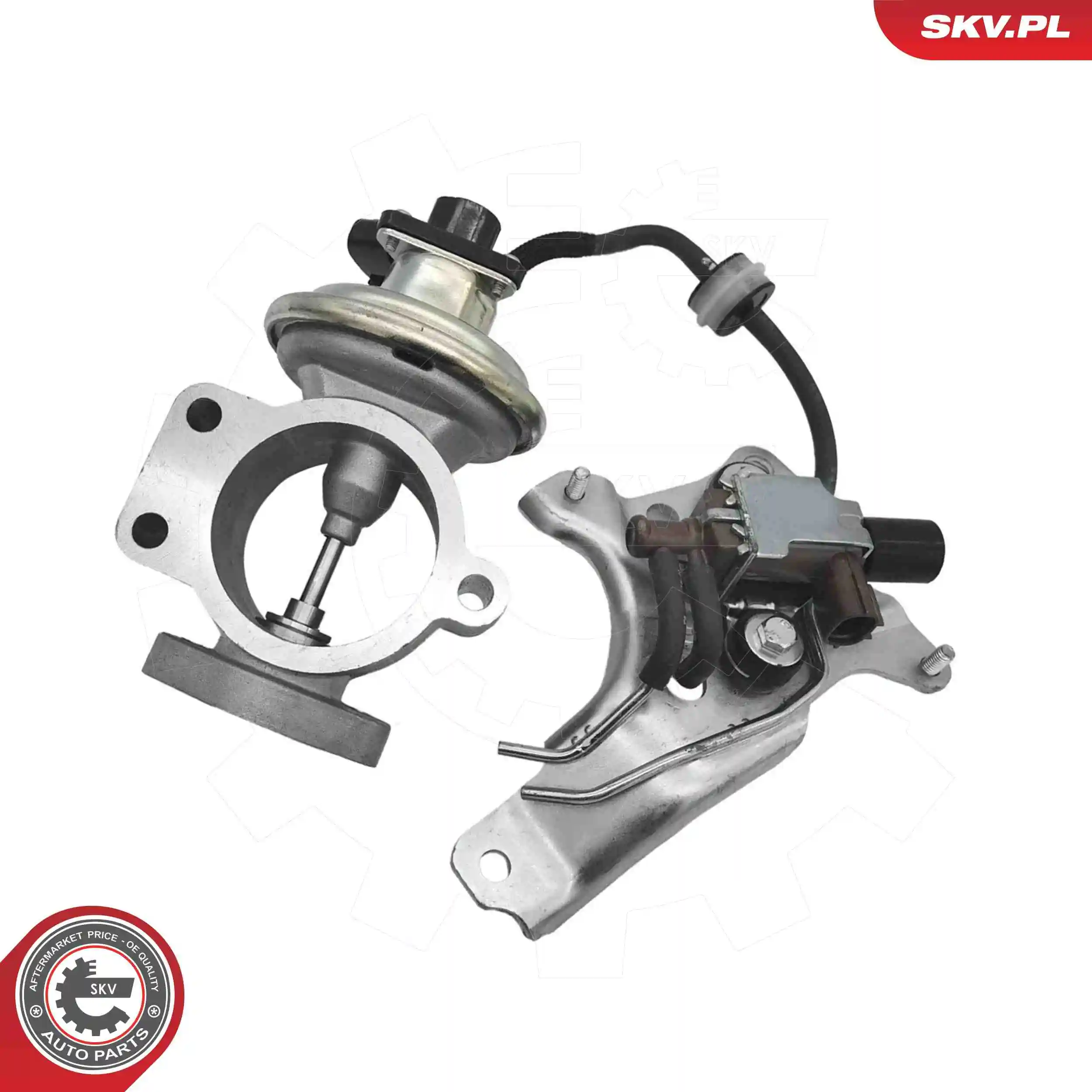 EGR Valve
